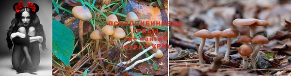 соль курить ск Майский