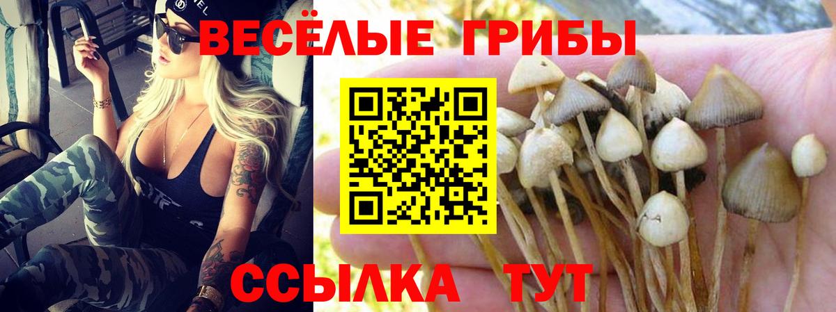 Галлюциногенные грибы GOLDEN TEACHER  Галлюциногенные грибы прущие грибы  купить закладку  Вход с VPN  Димитровград 